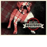 The Mighty Mighty Bosstones Concert Poster by Aesthetic Apparatus (SOLD OUT)