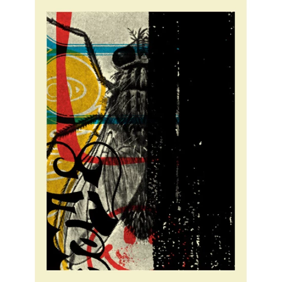 Decay #001 print by Aesthetic Apparatus