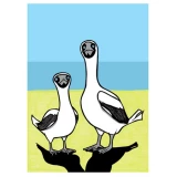 Masked Boobies Poster by Leia Bell (SOLD OUT)