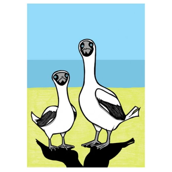 Masked Boobies Poster by Leia Bell (SOLD OUT)