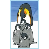 Vertical Penguins Poster by Leia Bell (SOLD OUT)