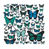 Cool Butterflies print by Brainstorm (SOLD OUT)