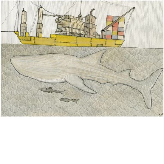 Whale Shark print by Christopher Myott