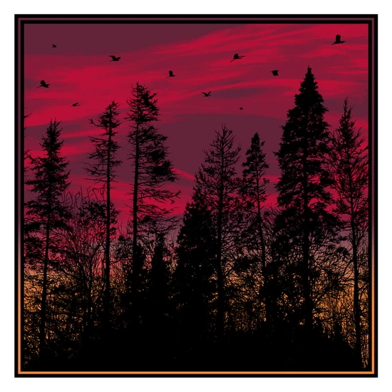 Big birds flying across the sky print by Dan McCarthy (SOLD OUT)