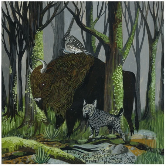 Bialowieza print by Diana Sudyka
