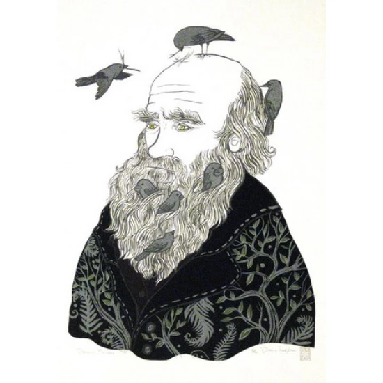 Darwin's Finches 2008 by Diana Sudyka (SOLD OUT)