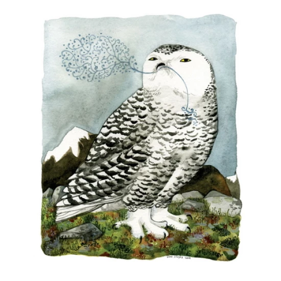 Arctic Owl print by Diana Sudyka (SOLD OUT)