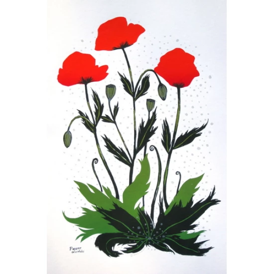 Oriental Poppy screen print by Diana Sudyka (SOLD OUT)