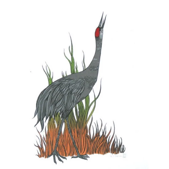 Sandhill Crane by Diana Sudyka (SOLD OUT)