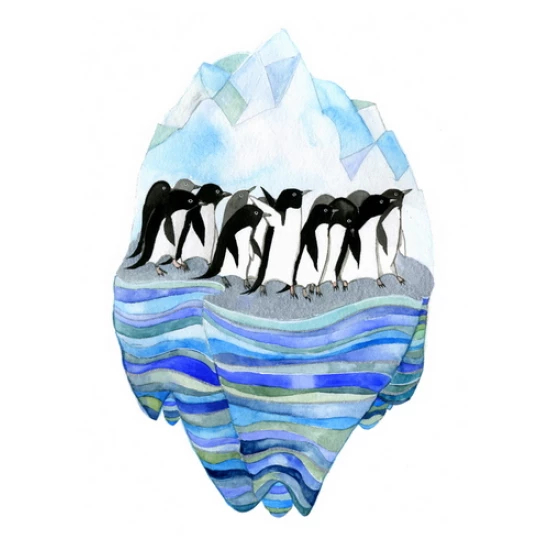 Adelies print by Diana Sudyka (SOLD OUT)