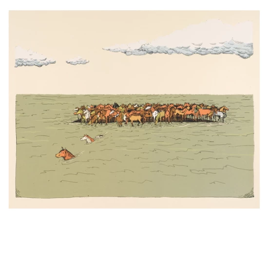 Marrum Horses print by Diana Sudyka (SOLD OUT)