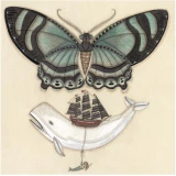 Whale on a Wing print by Evan B. Harris