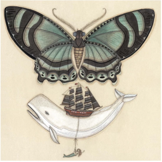 Whale on a Wing print by Evan B. Harris