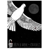 Iron & Wine Concert Poster by Todd Slater (SOLD OUT)