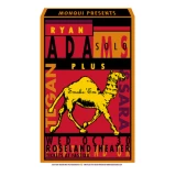 Ryan Adams Concert Poster 3 (SOLD OUT)