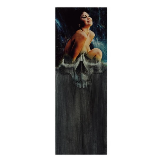 Wet Dreams print by Derek Hess