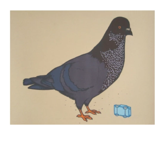 Pigeon with toy car by Jay Ryan (SOLD OUT)