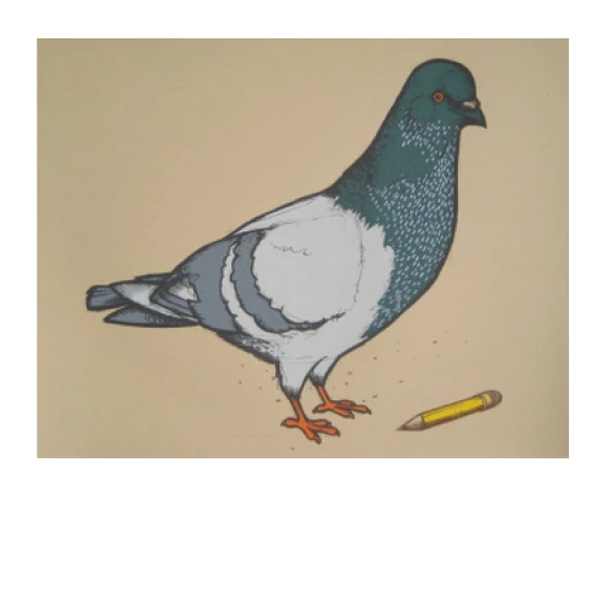 Pigeon with pencil by Jay Ryan (SOLD OUT)