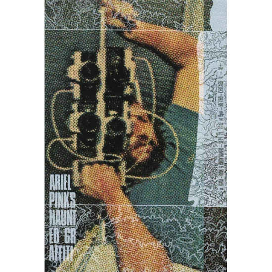 Ariel Pink's Haunted Graffiti concert poster by Landland