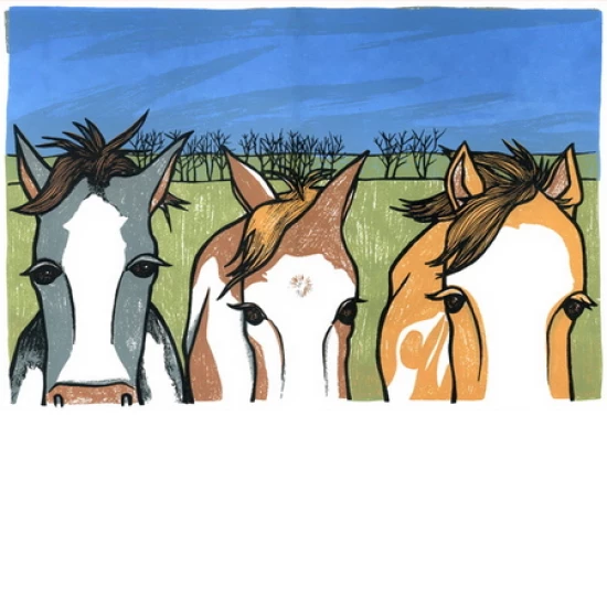 Pinto Trio print by Leia Bell (SOLD OUT)