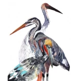 Pelican, Heron, and Crane by Michelle Morin