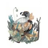 Nesting by Michelle Morin