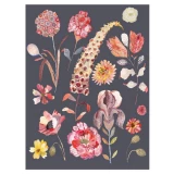 Botanicals No. 1 print by Michelle Morin