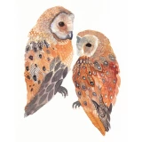 Two Barn Owls print by Michelle Morin (SOLD OUT)