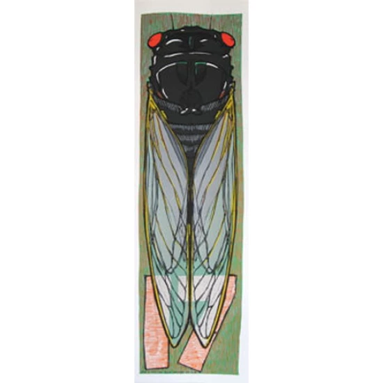 Cicada 17 by Jay Ryan (SOLD OUT)