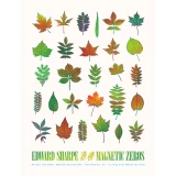 Edward Sharpe & the Magnetic Zeros concert poster by Scott Campbell