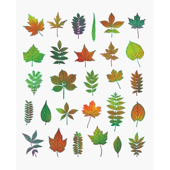 Autumn print by Scott Campbell