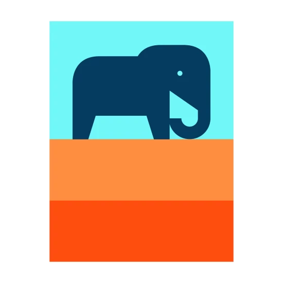 Elephant by Steve Wolf