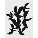 Flying by Blanca Gomez