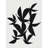 Flying by Blanca Gomez