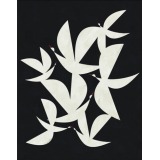 Flying at Night by Blanca Gomez