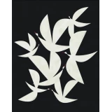 Flying at Night by Blanca Gomez