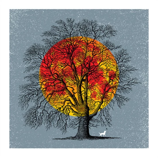 One Last Leaf by Aesthetic Apparatus
