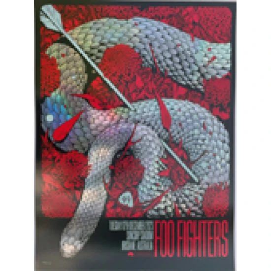 Foo Fighters Brisbane 2023 foil concert poster by Ken Taylor - Image 2