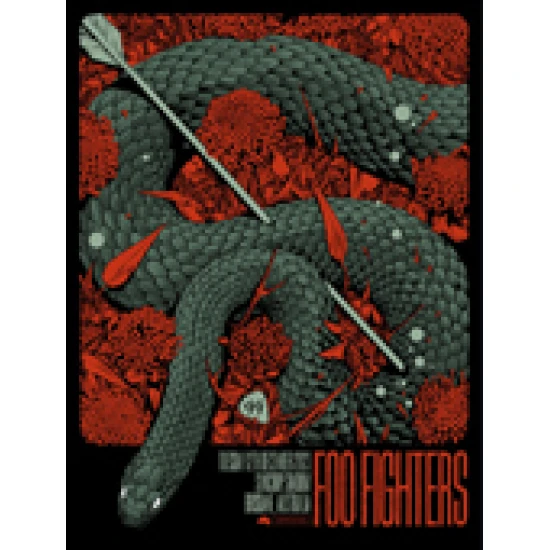 Foo Fighters Brisbane 2023 concert poster by Ken Taylor - Image 2